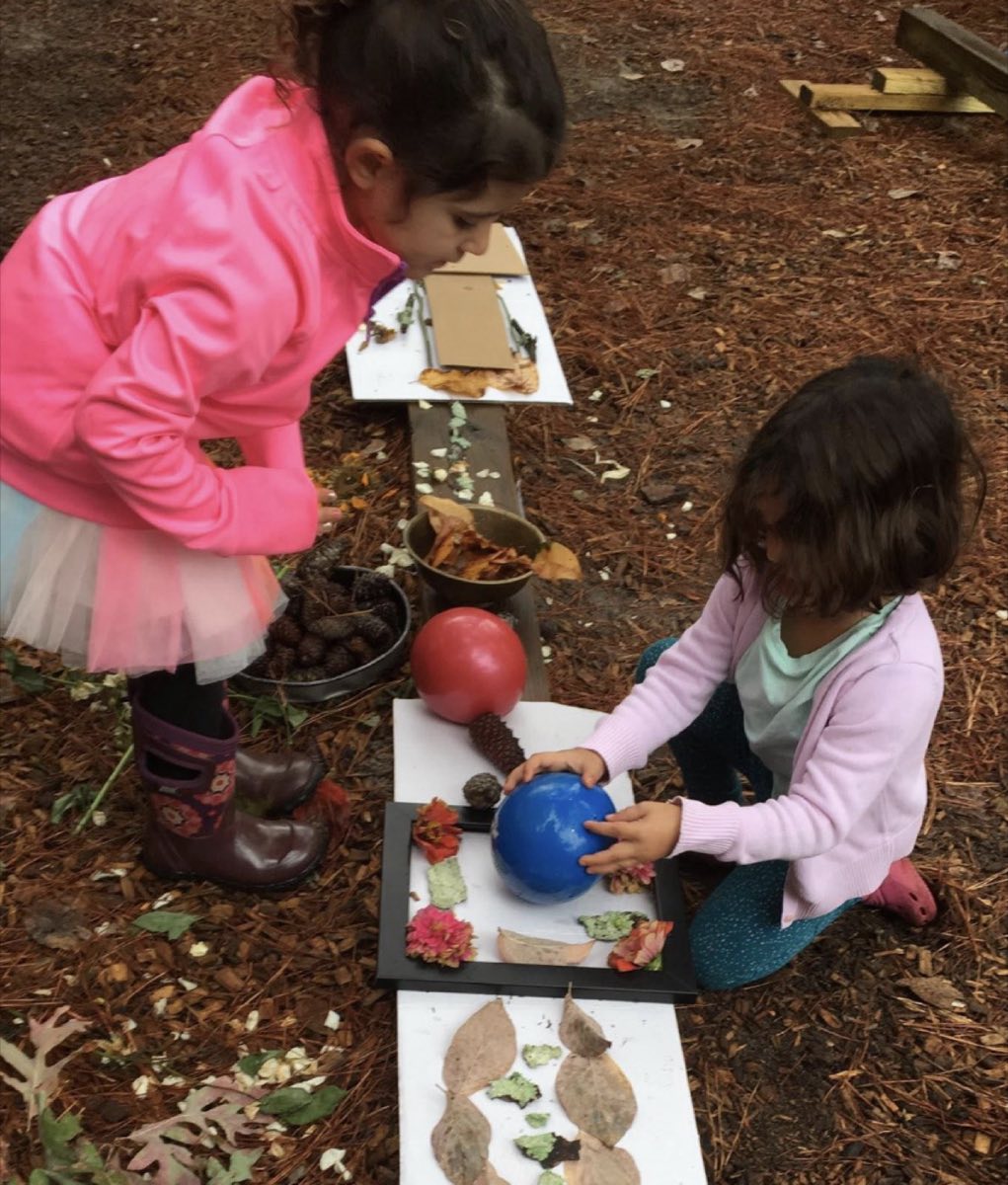 Cultivating a Collaborative Professional Learning Collective (Intermediate Level)