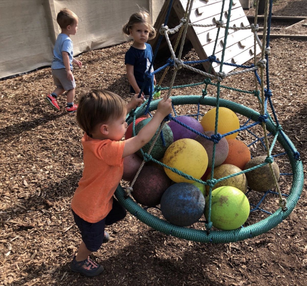 Valuing Outdoor Play: From Observation to Provocation